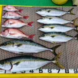 火遠理丸(ほおりまる) 釣果