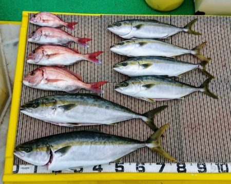 火遠理丸(ほおりまる) 釣果