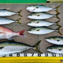 火遠理丸(ほおりまる) 釣果