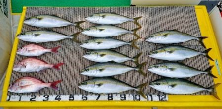 火遠理丸(ほおりまる) 釣果