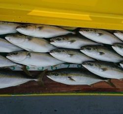 火遠理丸(ほおりまる) 釣果