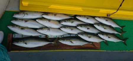 火遠理丸(ほおりまる) 釣果