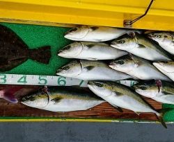 火遠理丸(ほおりまる) 釣果