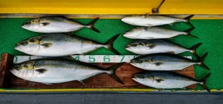 火遠理丸(ほおりまる) 釣果