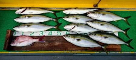 火遠理丸(ほおりまる) 釣果