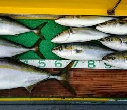 火遠理丸(ほおりまる) 釣果