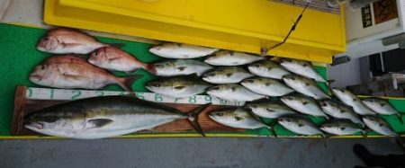 火遠理丸(ほおりまる) 釣果