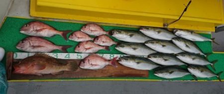 火遠理丸(ほおりまる) 釣果