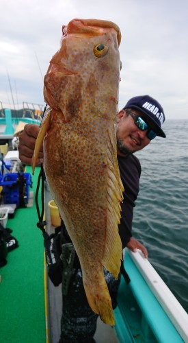 火遠理丸（ほおりまる） 釣果
