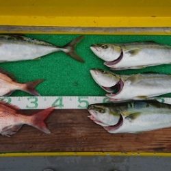 火遠理丸(ほおりまる) 釣果