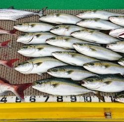 火遠理丸(ほおりまる) 釣果