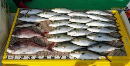 火遠理丸(ほおりまる) 釣果