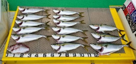 火遠理丸(ほおりまる) 釣果