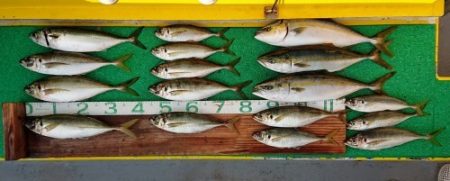 火遠理丸(ほおりまる) 釣果