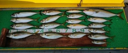 火遠理丸(ほおりまる) 釣果