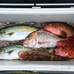 火遠理丸(ほおりまる) 釣果