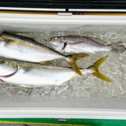 火遠理丸(ほおりまる) 釣果