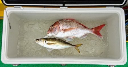 火遠理丸(ほおりまる) 釣果