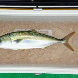 火遠理丸(ほおりまる) 釣果