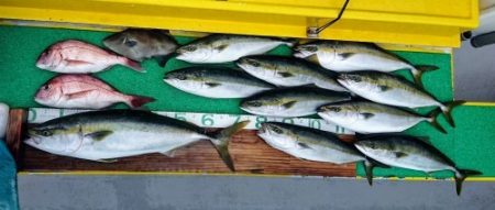 火遠理丸（ほおりまる） 釣果