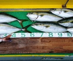 火遠理丸(ほおりまる) 釣果