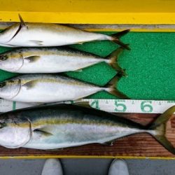 火遠理丸(ほおりまる) 釣果