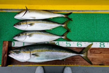 火遠理丸(ほおりまる) 釣果