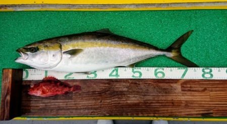 火遠理丸(ほおりまる) 釣果