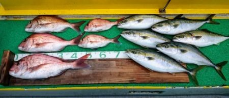 火遠理丸（ほおりまる） 釣果