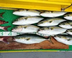 火遠理丸(ほおりまる) 釣果