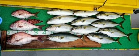 火遠理丸(ほおりまる) 釣果