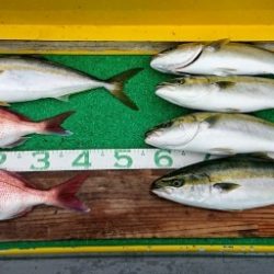 火遠理丸(ほおりまる) 釣果