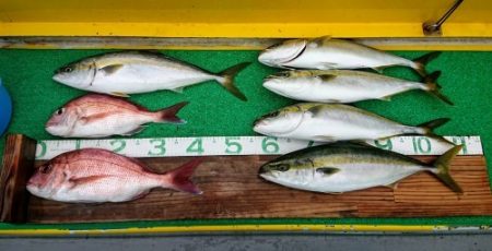 火遠理丸(ほおりまる) 釣果