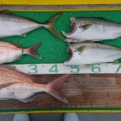 火遠理丸(ほおりまる) 釣果