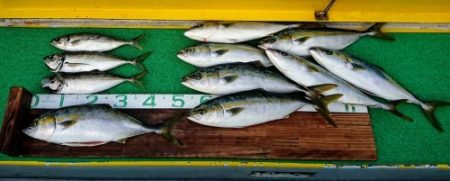 火遠理丸(ほおりまる) 釣果