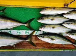 火遠理丸(ほおりまる) 釣果