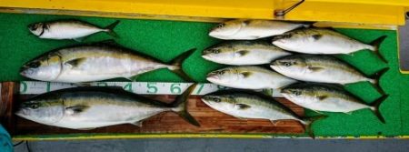 火遠理丸(ほおりまる) 釣果