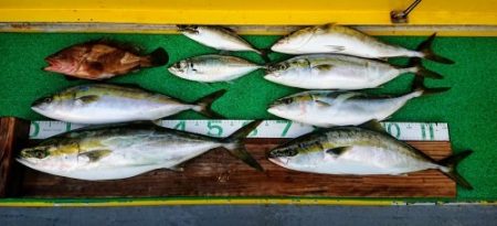 火遠理丸(ほおりまる) 釣果