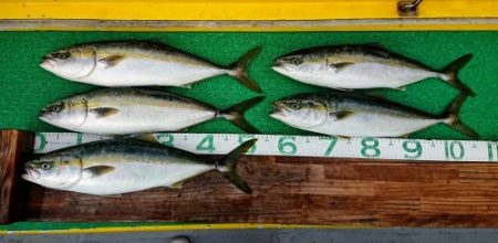 火遠理丸(ほおりまる) 釣果