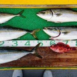 火遠理丸(ほおりまる) 釣果