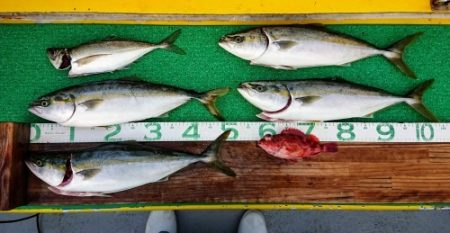 火遠理丸(ほおりまる) 釣果