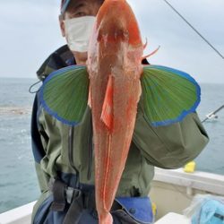 遊漁船 ニライカナイ 釣果