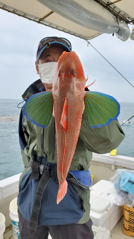 遊漁船 ニライカナイ 釣果