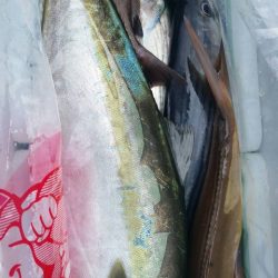 第五慶門丸 釣果