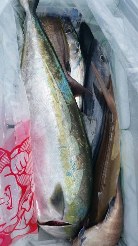 第五慶門丸 釣果