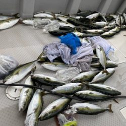 ミタチ丸 釣果