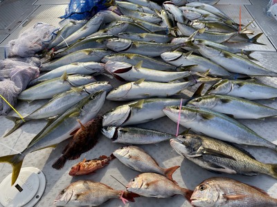ミタチ丸 釣果