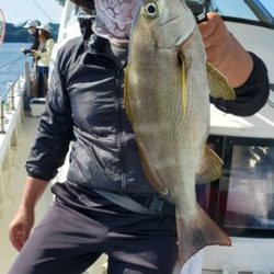 遊漁船 ニライカナイ 釣果