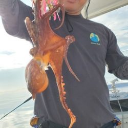 遊漁船　ニライカナイ 釣果