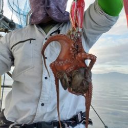 遊漁船　ニライカナイ 釣果